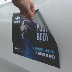 Vehicle Magnetics